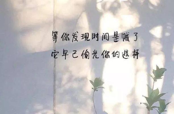 挽回爱情的勇气（深情以待，怕受伤害的你，不妨试试这些方法）-第2张图片-恋语空间