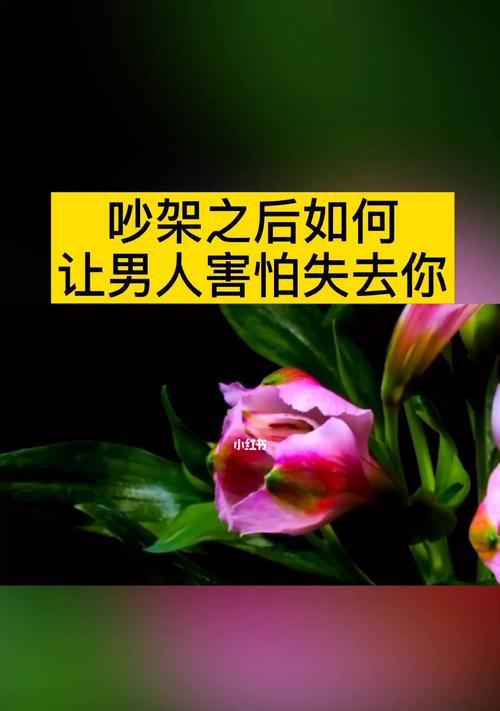 如何挽回失去的感情？（重拾爱情的有效方法）-第2张图片-恋语空间