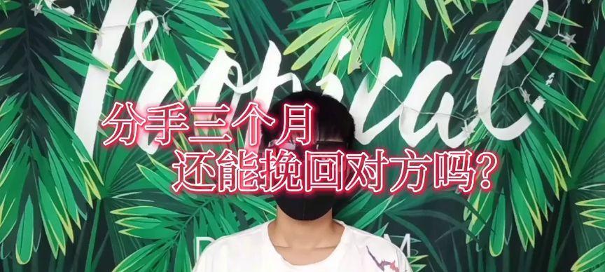 分手三个月后成功挽回前任！（15个步骤教你如何挽回前任）-第2张图片-恋语空间