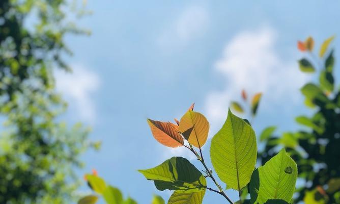 深邃感慨，挽回已逝的岁月（珍惜当下，让时光留下真情）-第2张图片-恋语空间