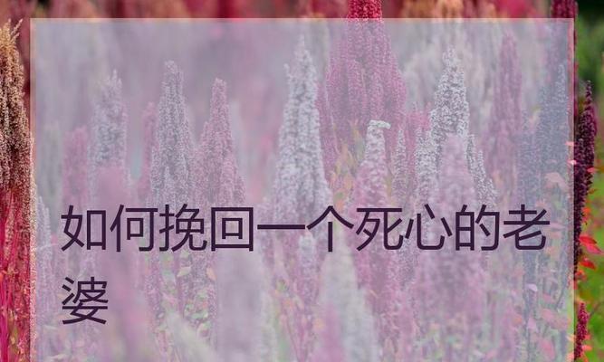 15个段落教你用文字挽回失去的爱情（15个段落教你用文字挽回失去的爱情）-第3张图片-恋语空间