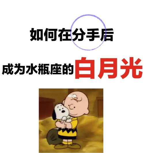 分手后如何挽回水瓶男？（掌握这3大技巧，再也不用担心失去爱情！）-第3张图片-恋语空间