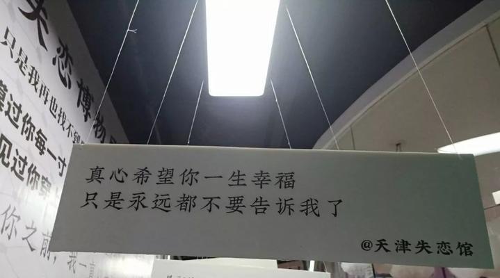 失恋之痛，如何用言语挽回爱情（挽回爱情的艺术，从心理到话语的全方位解析）-第1张图片-恋语空间