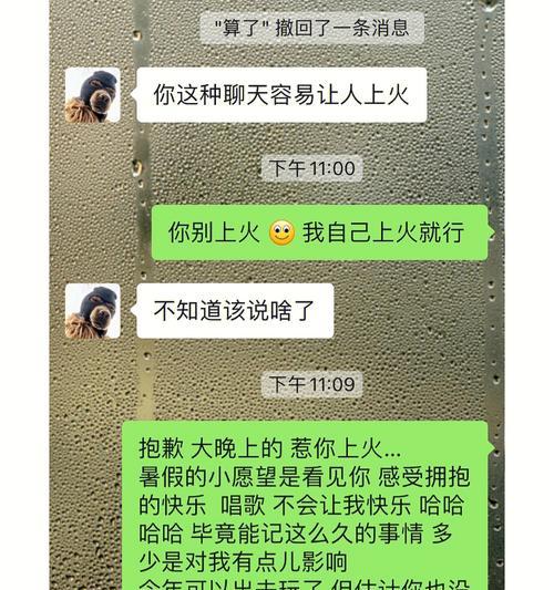 如何用聊天方法挽回处女男暧昧的关系？（掌握聊天技巧，恢复前任情感，如何重新建立联系？）-第2张图片-恋语空间