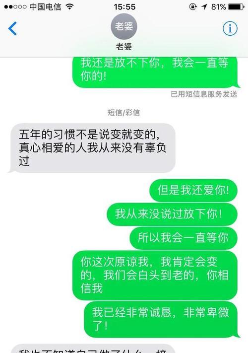 挽回爱情攻略（以分手挽回攻略，成功重建感情的关键）-第2张图片-恋语空间