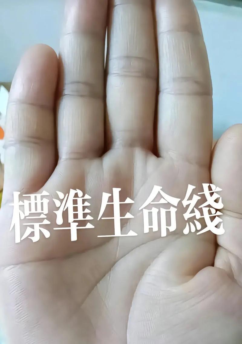 女性掌纹的秘密全图解（揭开女性掌纹的神秘面纱，掌握自身运势）-第1张图片-恋语空间