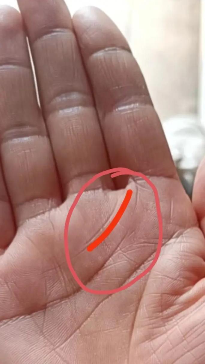 情感断裂（了解情感断裂线的隐含信息，拥有更深刻的人生领悟）-第1张图片-恋语空间