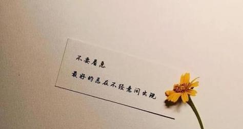 如何撰写挽救心爱女友生日挽回文案？-第3张图片-恋语空间