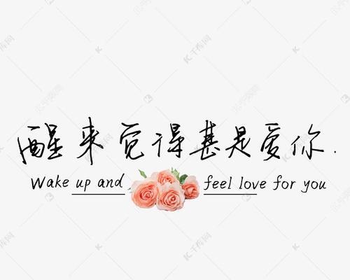 浪漫的文字表白方式（用真情告白，点燃爱的火焰）