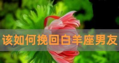 如何成功挽回白羊男？（15个实用技巧教你如何挽回白羊男的心）-第2张图片-恋语空间