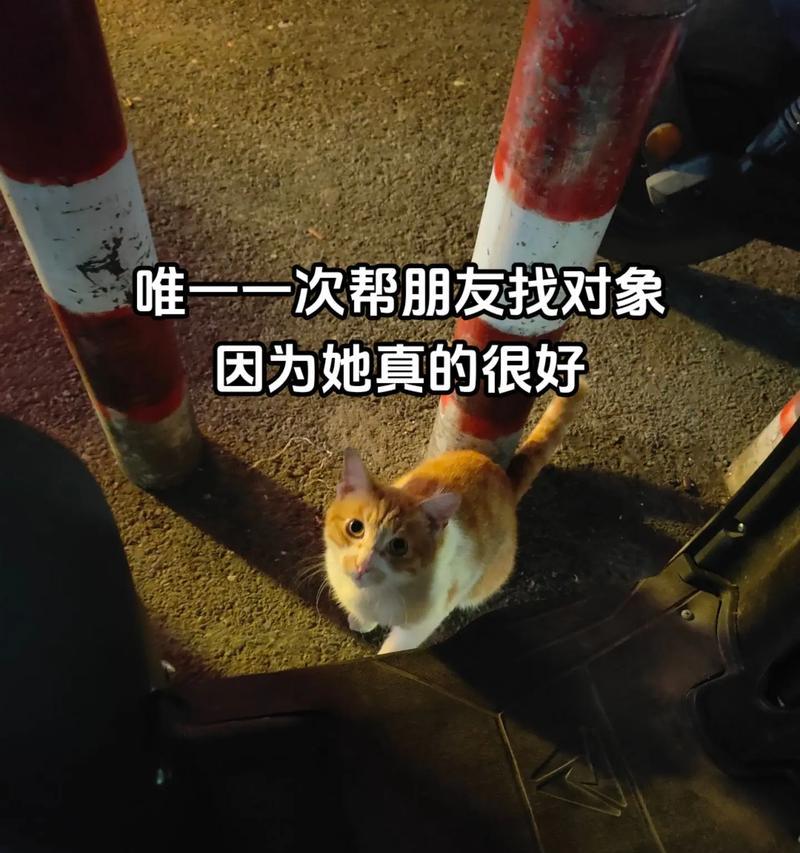 如何挽回失去的爱情（15个有效的挽回方法，让你重新拥有幸福爱情）
