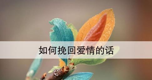 分手后如何挽回爱情，教你从零开始重拾爱情（15个实用攻略，带你重获幸福）