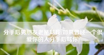 如何应对感情疏远，挽回爱情？（以我对男友越来越冷淡所以分手为例，分享教训与经验）-第1张图片-恋语空间