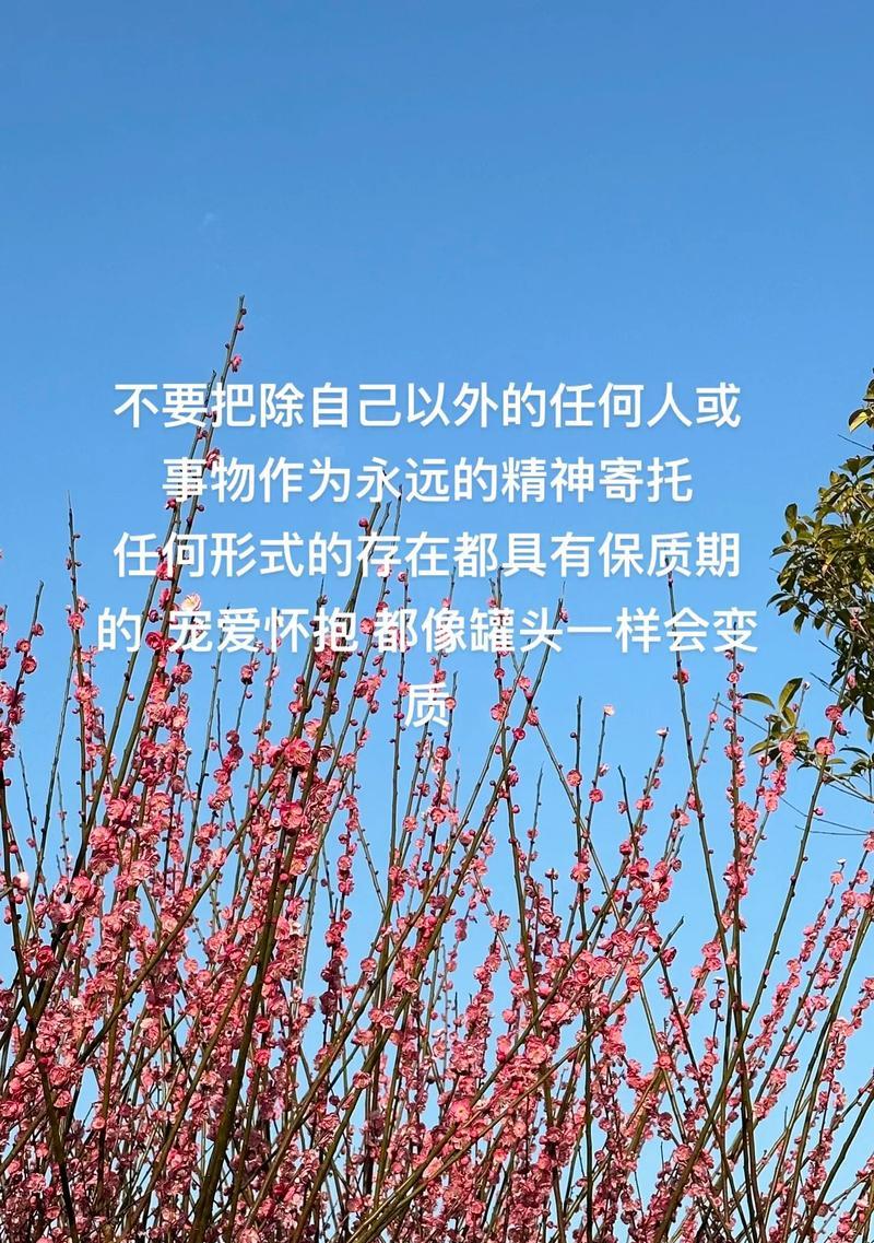 如何摆脱以人疑神疑鬼的困扰（掌握心理技巧，恢复正常思维）