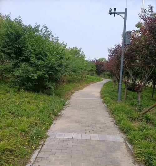 三观不合如何磨合？（判断不合适的方法及有效磨合的技巧）