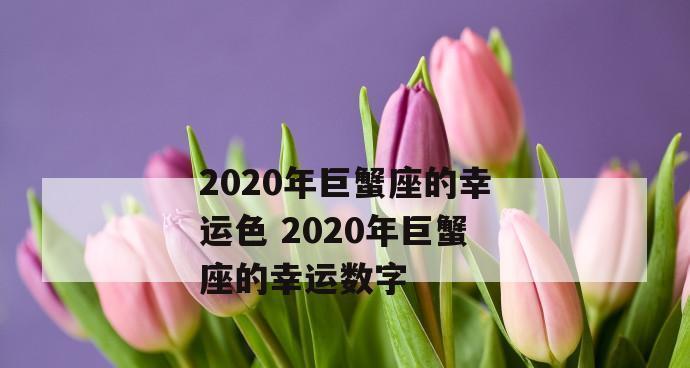 挽回以巨蟹绝情后的感情困境（探讨巨蟹座为什么会绝情以及如何从中走出来）-第2张图片-恋语空间