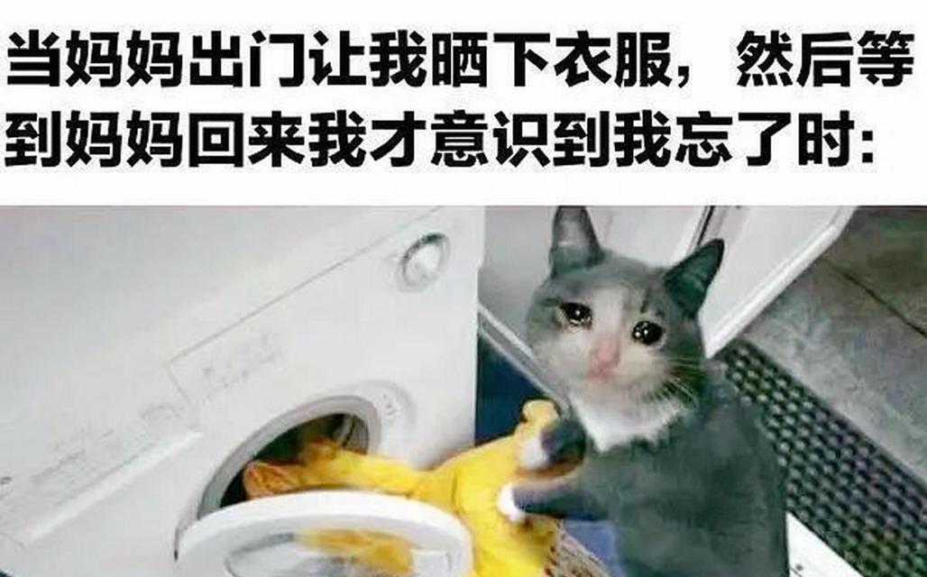 男人永远是长不大的孩子（探寻男性成长中的“大男孩情结”）-第2张图片-恋语空间