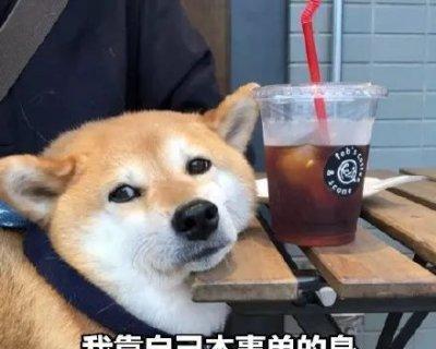 单身狗反击！15句幽默回应秀恩爱的朋友（神回复让你秒变搞笑担当，）-第3张图片-恋语空间