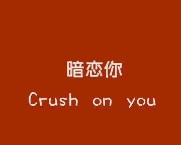 暗恋到最后，我得到了这些（一个暗恋者的自述，从心动到实现）-第2张图片-恋语空间