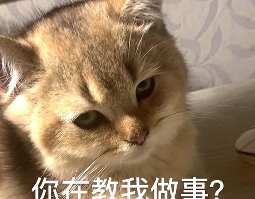 当老公冷落你，如何应对？（15个技巧帮你化解婚姻危机）-第3张图片-恋语空间
