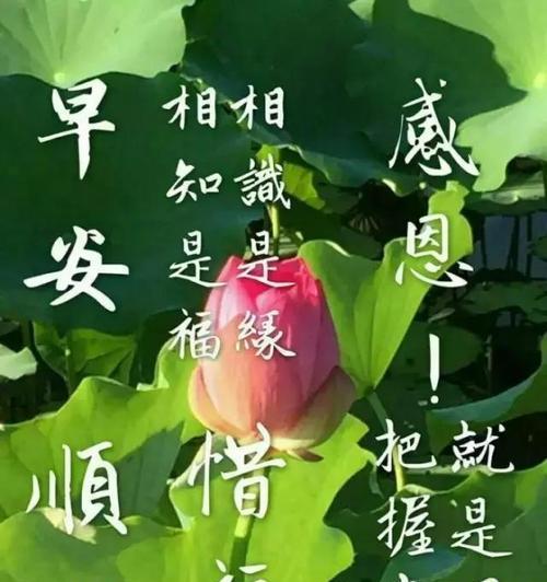 以一句话挽回嫂子的心，我们应该怎么做？（——感恩）-第2张图片-恋语空间
