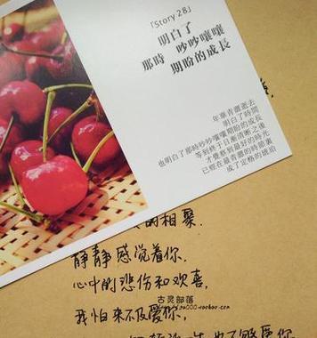 挽回情人最感人的情书（用真情打动心灵的故事）-第2张图片-恋语空间