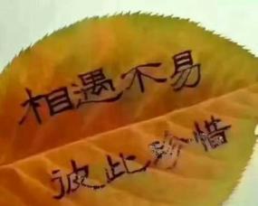 爱情来了，珍惜它（得到了就不要轻易放弃，珍惜感情才能长久）-第2张图片-恋语空间