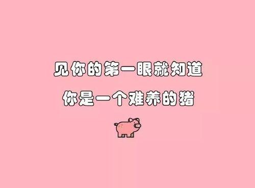 如何在陌陌上成功搭讪？（分享10个技巧，让你脱单不再难）-第2张图片-恋语空间