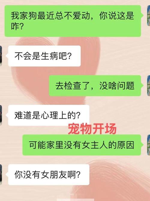 与女生聊天技巧（掌握5个技巧，让你在聊天中得心应手）-第3张图片-恋语空间