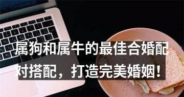 恋爱VS婚姻（探究男女关系的不同，揭秘男人追求女孩的心理和行为）-第2张图片-恋语空间
