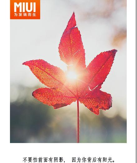 试用品一辈子，何等凄惨（当有些人把我们当做扔掉的垃圾，我们却只有默默忍受）-第3张图片-恋语空间