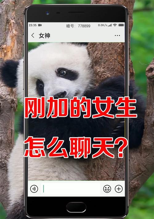 如何应对被搭讪后不愿交微信的害羞心态（当陌生人搭讪时，如何坚定拒绝并保护自己的安全感？）-第3张图片-恋语空间