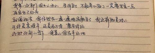 再给我们一次机会（用真心和坚定打破你的疑虑）-第3张图片-恋语空间