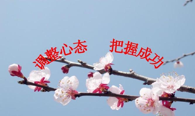 以儿童心态（从儿童视角看待智商和心态测试的必要性）-第3张图片-恋语空间