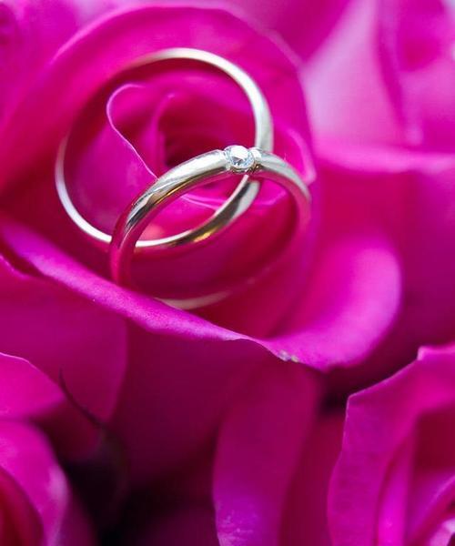 老婆铁了心要离婚？不妨试试这些挽回方法！（从沟通、关怀、改变自己等方面入手，赢回爱人的心（）