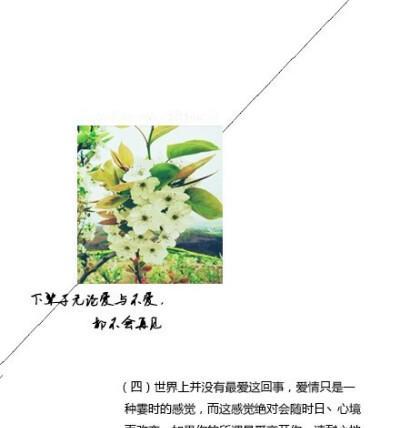 铭记那年，深刻感悟（挫折与希望的交织，让人不断前行）-第1张图片-恋语空间