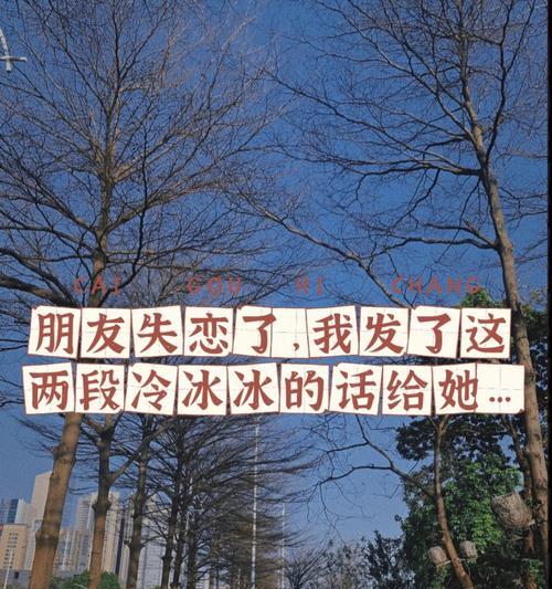 摆脱假象，真正放弃失恋（以行动为证，告别虚伪与自我欺骗）-第3张图片-恋语空间