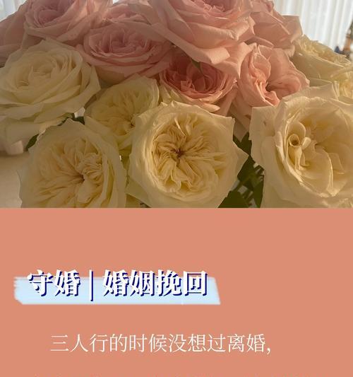 爱情永葆鲜活，挽回婚姻再出发（以情感润滑，重获爱的温度）-第3张图片-恋语空间
