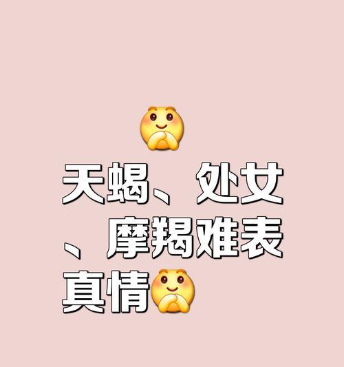 天蝎女的暗示和喜欢摸的位置（探究天蝎女的暗示和喜好的秘密）