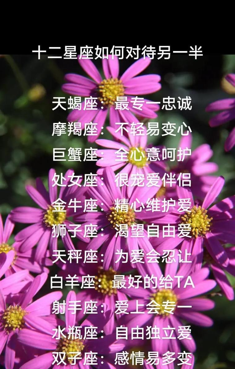 十二星座男的爱情忠诚排行（哪个星座男最忠诚？星座男对爱情的态度排名）-第3张图片-恋语空间
