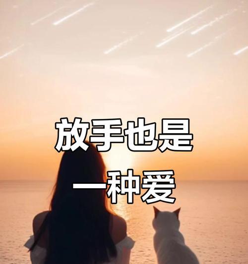 分手之后，不打扰不挽留，让感情自然放下（告别纠缠，彻底结束）-第2张图片-恋语空间