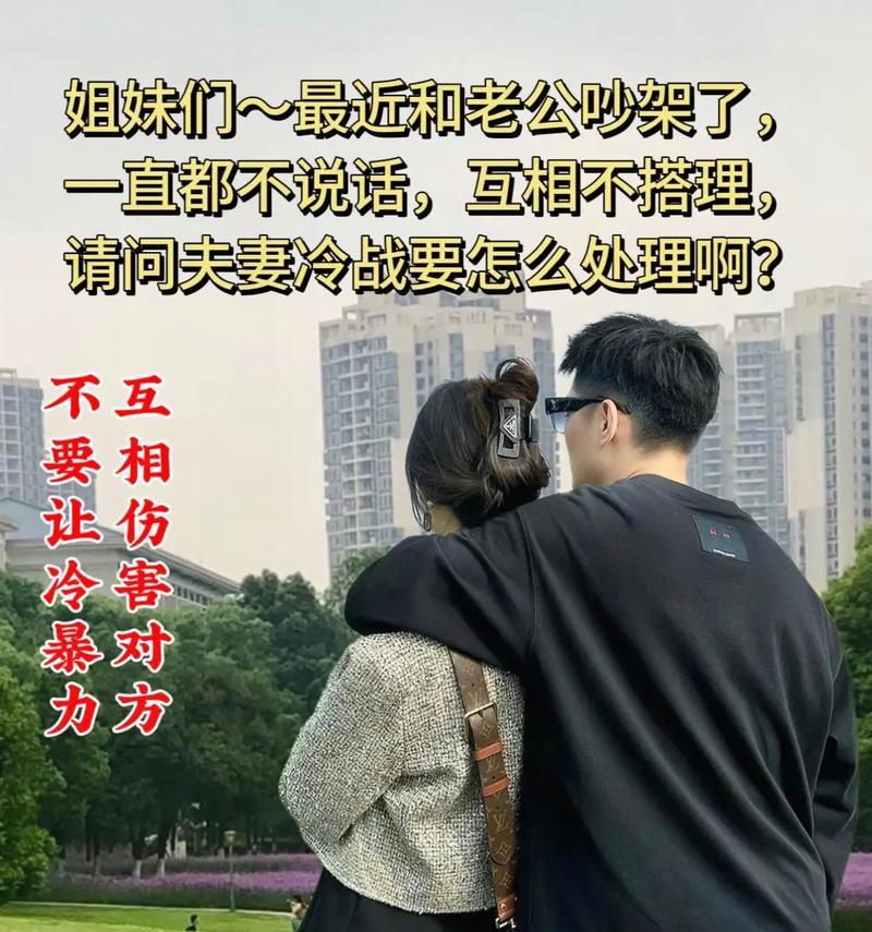 如何继续幸福婚姻生活？（处理夫妻吵架，让爱更长久）-第1张图片-恋语空间