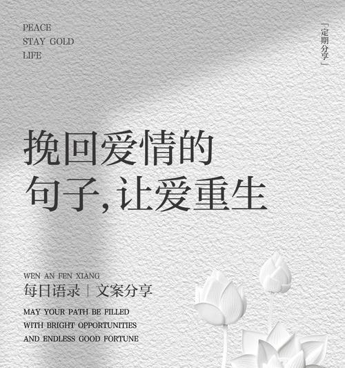 以爱情挽回，书籍指南（挽回爱情的秘密、阅读之道和实战经验）-第3张图片-恋语空间