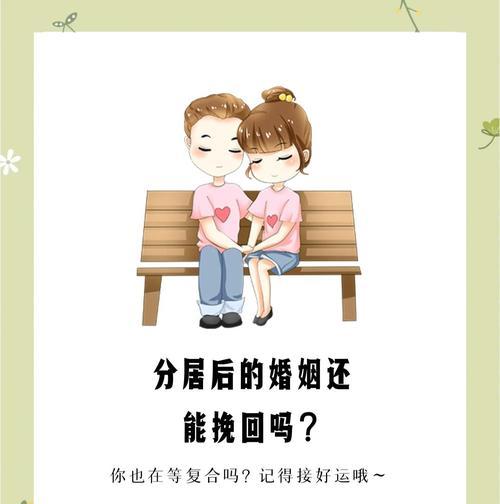 如何挽回婚姻？——夫妻不合离婚的救赎之路（夫妻关系危机、家庭重建、感情升华、心灵成长、生活幸福）-第2张图片-恋语空间