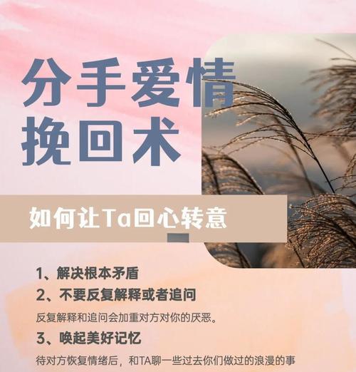 如何用一颗心挽回失去的爱情？（以真诚、耐心、信任为关键，让爱情再次绽放）-第2张图片-恋语空间