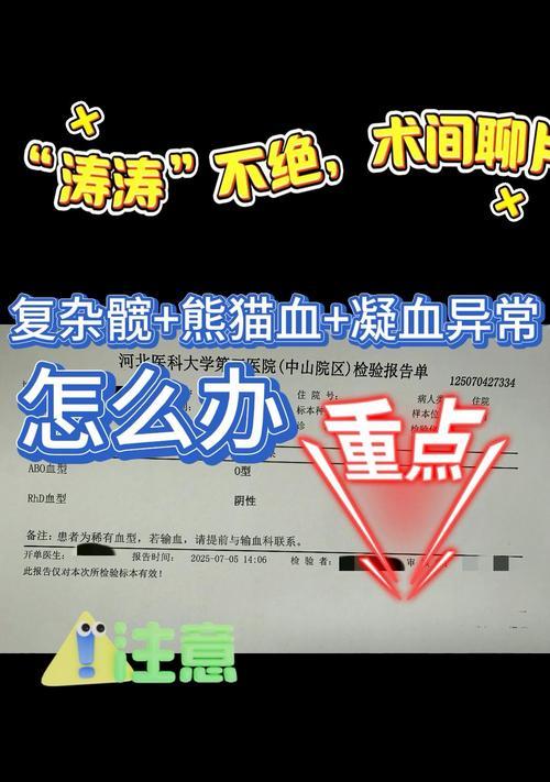 熊猫血型的危害与防控（揭秘熊猫血型背后的健康危机，保护生命从了解开始）