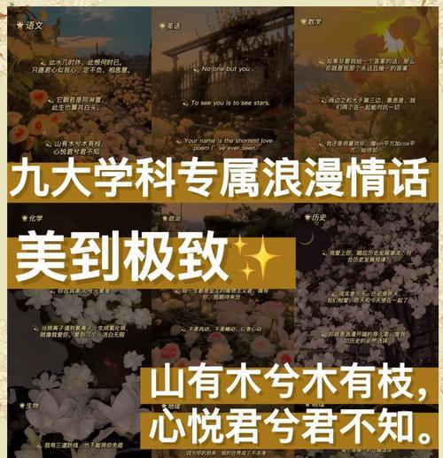 用情话珍藏你，永远不离开（男女朋友间的甜蜜语言）
