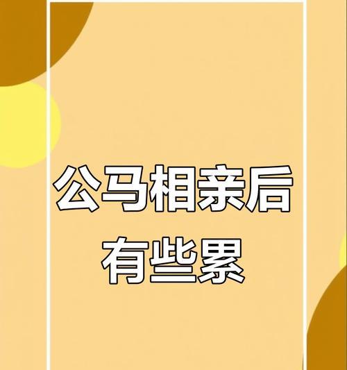 相亲后频繁联系的必要性（为了保持感情稳定，你需要这样做）-第2张图片-恋语空间