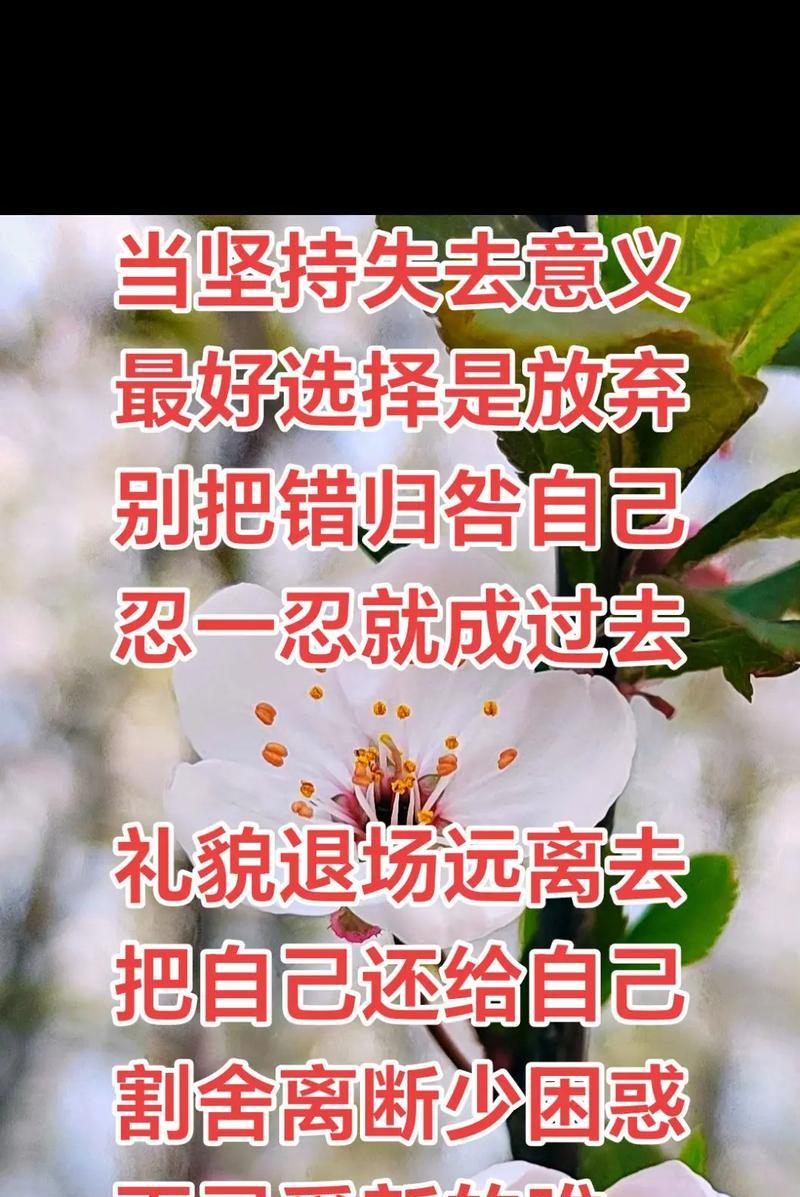 学会放弃，别拖累彼此（以情人分手不纠缠把握时机，拒绝任性与执着）-第2张图片-恋语空间