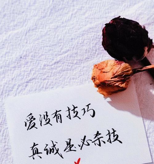9句挽回爱情的感人之语（用这9句话传达你的爱意，让他/她再次爱上你）-第2张图片-恋语空间
